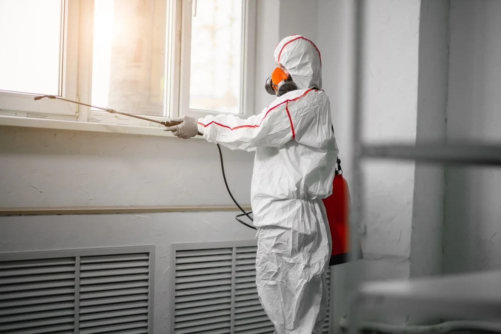 Professional mold remediation services in Pocasset, MA